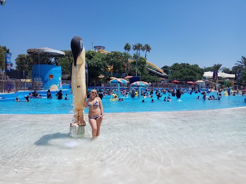 Shefayim Water Park, Author: Michael Gavshin