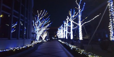 徳島文理大学 村崎凡人記念図書館 Komatsushima Shi Tokushima 81 602 8000