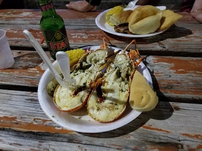 Photos of Sprat Net