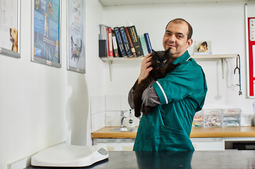 Best Friends Vet Group, Shenfield - Thumbnail