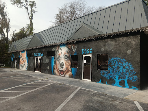 Three Oaks Veterinary Wellness Center - Thumbnail