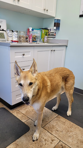 Walden Animal Hospital - Thumbnail