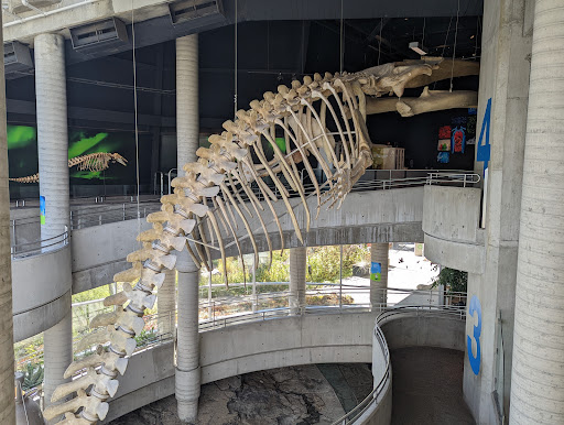 Science North - Thumbnail