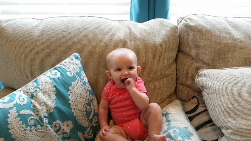 affordable clean carpet service