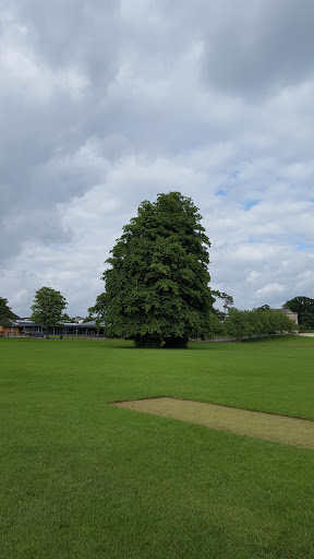 Sheldon School - Visual