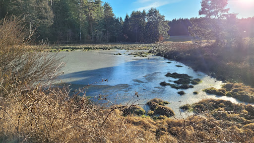 Schwemmteiche - Visual