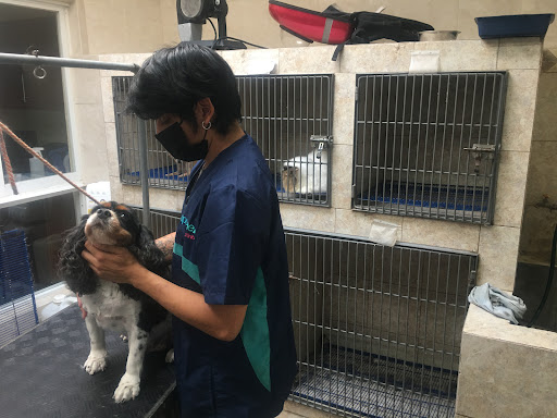 Hospital Veterinario Can y Cat