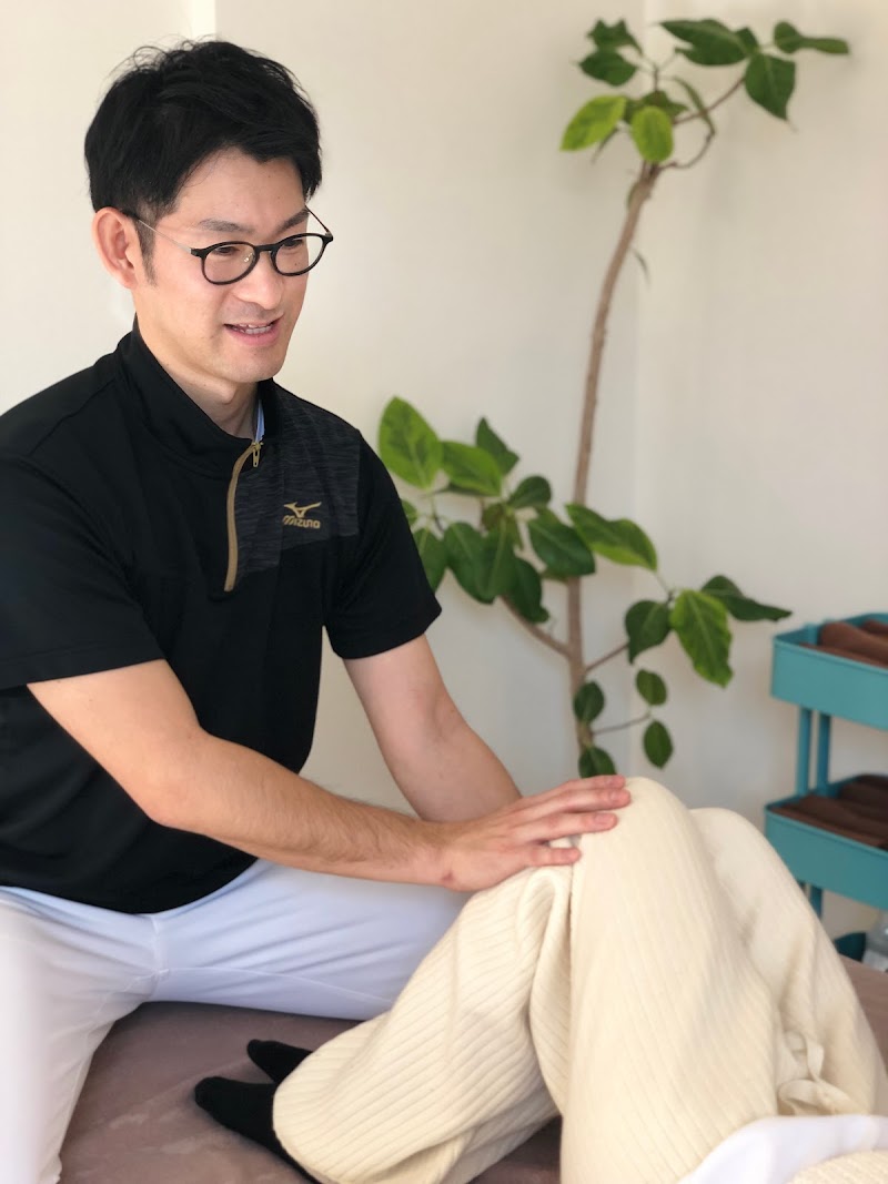 整体・体質改善Notice