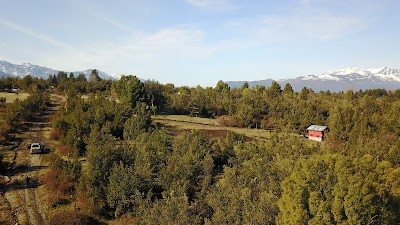 Photos of BELENUS
