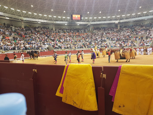 Coliseum Burgos - Visual