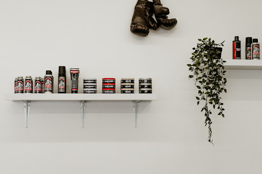 Trait Studio - Visual