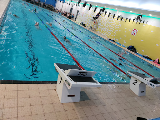 Denbigh Dragons Swimming Club