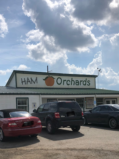 Ham Orchards - Visual