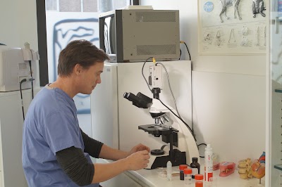 veterinary-care