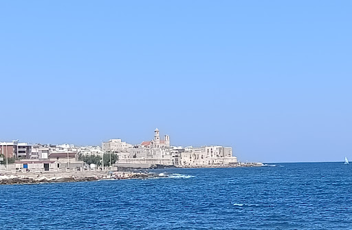 Botè de Mar - Visual