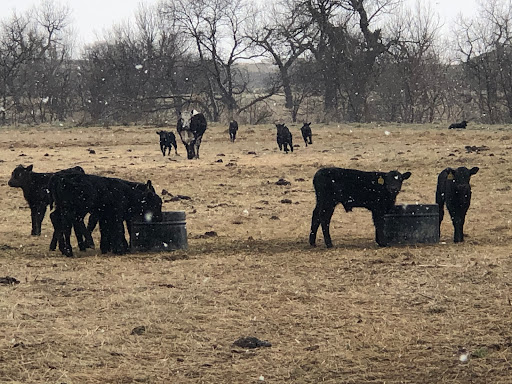 Hat Creek Feeds - Thumbnail