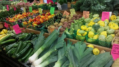 Photos of South Bend Farmer's Market