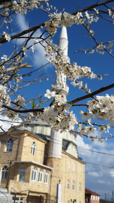 sebepli köyü camii