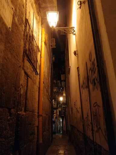 Ciaculli 9 - Visual