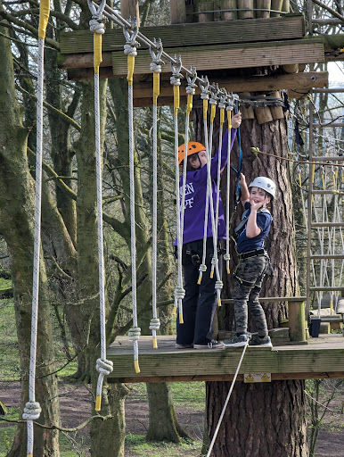 Raven Tree Top Adventure Gallery - United Kingdom