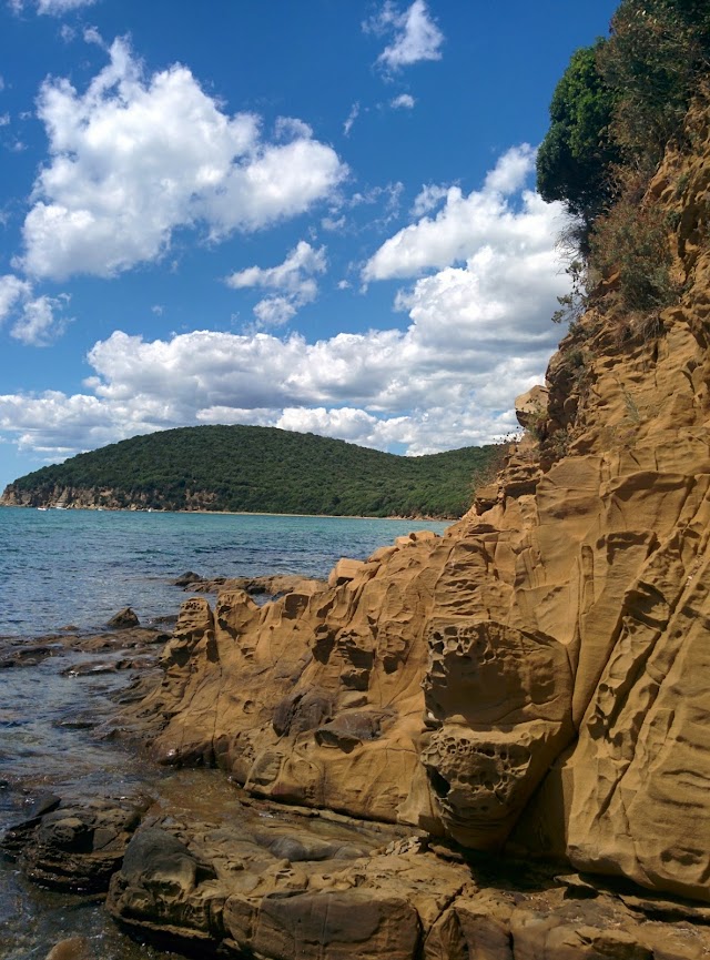 Cala Violina Spiaggia