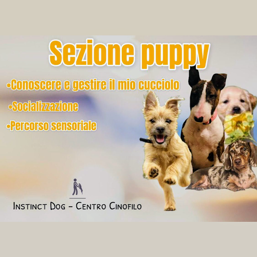 Instinct dog centro cinofilo - Thumbnail