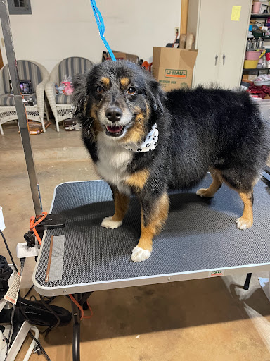 Sweet Baby Salon LLC - Thumbnail