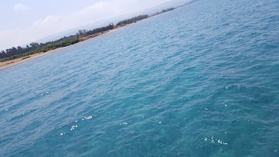 Photos of Limani Bar Cafe