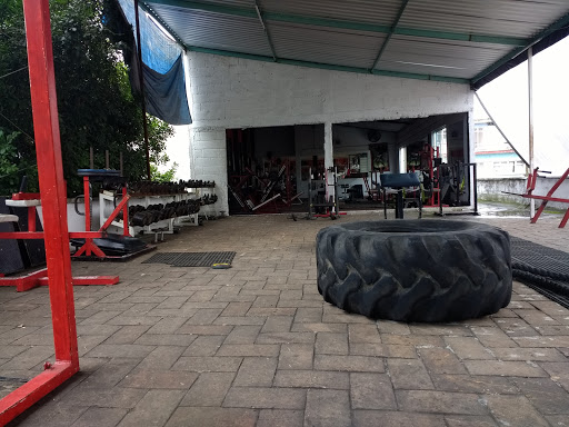 The gym 300 - Thumbnail