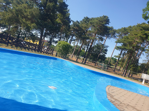 Waldbad Möckern