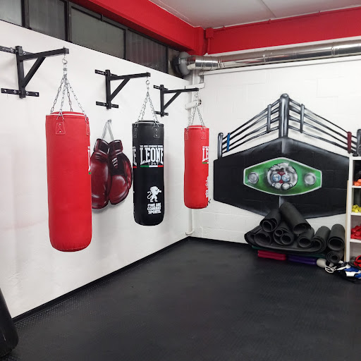 Angelocore Boxe
