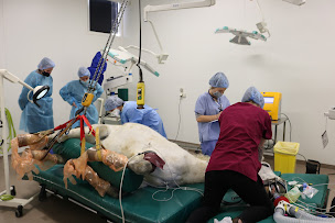 Photo n°15 de Centre Hospitalier Universitaire Vétérinaire à Toulouse (Clinique vétérinaire)