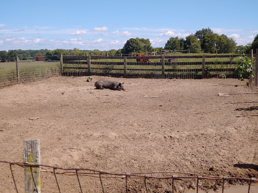 1920s Living Farm Museum
