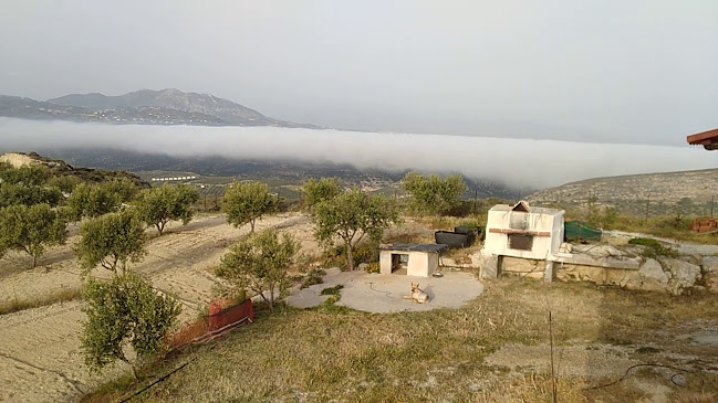 Αξιολογήσεις για το ΡΟΚΟΓΙΩΡΓΗΣ 1 στην Γούβες - Κάβα