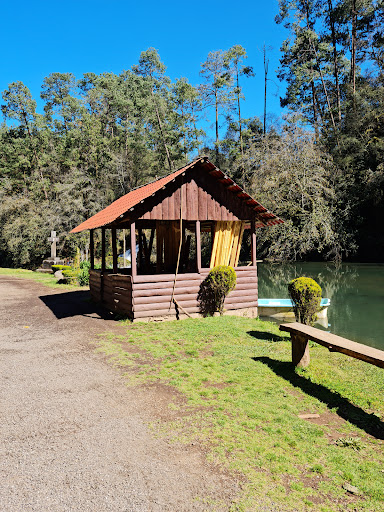 CAMPESTRE LAS TRUCHAS