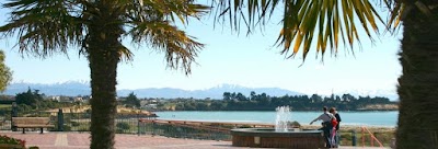 Photos of Ray White Timaru