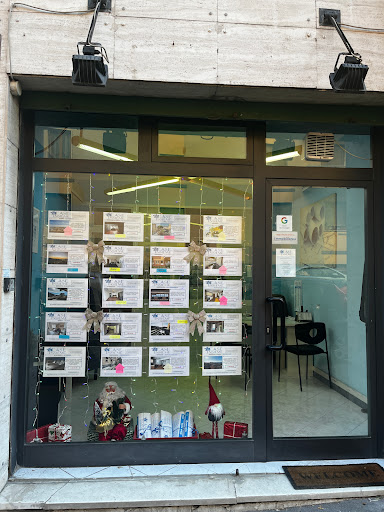 CaseInsieme - Visual
