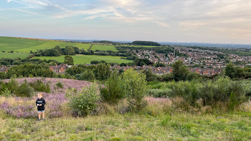 Hednesford Hills Local Nature Reserve Gallery - United Kingdom