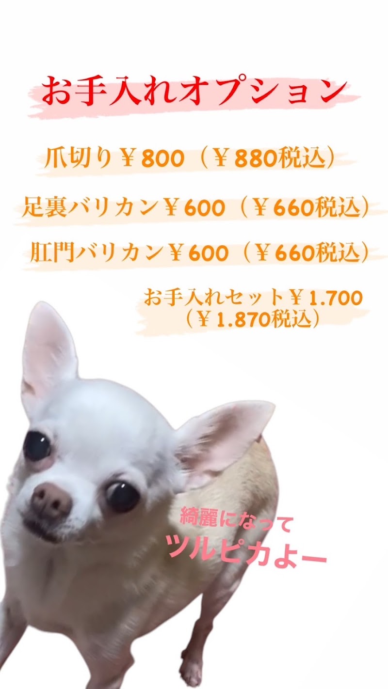 Pethotelあっぷるへっど