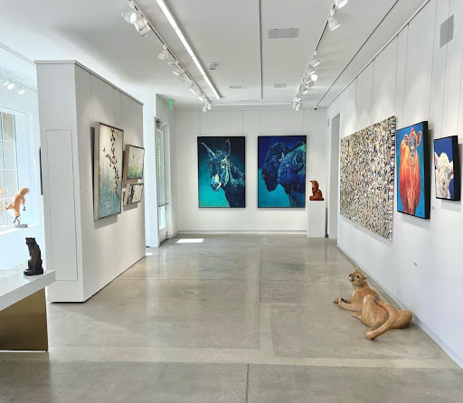 Gallery Wild - Visual