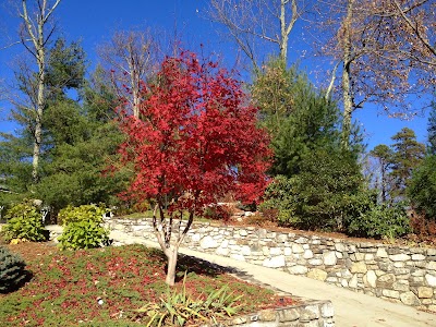 Photos of Carl Sandburg Home National Historic Site