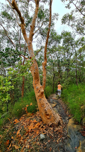 Natural Bridge Trailhead - Thumbnail
