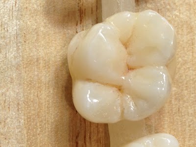 Photos of KERİMDENTAL Ağız ve diş sağılığı kliniği