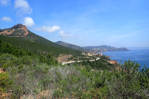 Cap roux - Thumbnail
