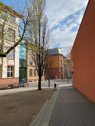 Merianschule - Visual