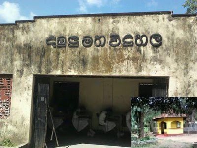 Photos of Rangiri Dambulla National School