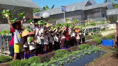 Photos of Campgrounds Cikundul