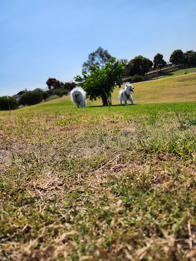 Ellenbrook Dog Exercise Park - Thumbnail
