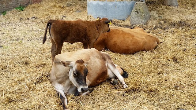 Standalone Farm