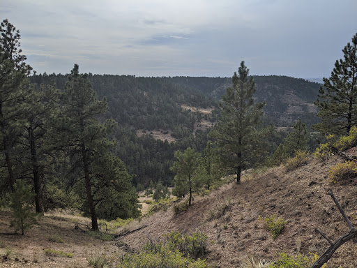 Tongue River Breaks Hiding and Riding Area - Thumbnail